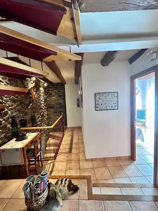 Cal Joan Pallars Salas de Pallas Holiday home